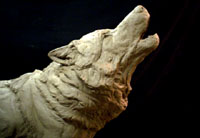 howling Wolf Sculpture Detail
